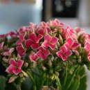 애플휘트니스 이미지