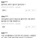 동네빨래방 이미지