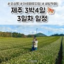 자인농업협동조합 | [제주 여행] 3박4일 일정 3일차 후기 🎠 오설록 / 이니스프리 / 대문집 / 아르떼뮤지엄 제주 / 새빌카페...