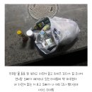 상아(129) 네이버블로그