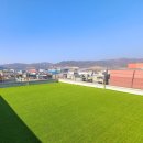 도그힐튼 이미지