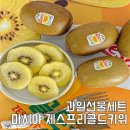 마시야 이미지