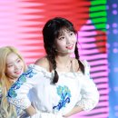 뽀짝이네