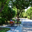 부평공원 이미지