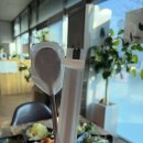 돈락 | [ 울산 현지인 맛집] 울산 진하해수욕장 고기집 추천, 제주 흑돼지 오겹살 맛집 진하돈락 (솔직후기)