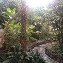 부여국악의전당 이미지