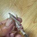 YL 컴퍼니 이미지