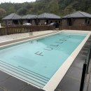 스테이펫 이미지