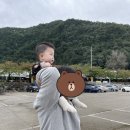 아기동반 울진여행 하루 코스 - 해안스카이레일 / 성류굴 / 왕피천케이블카 / 아쿠아리움