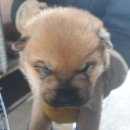 정남119안전센터-2 이미지