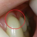 서울동서남북치과의원 이미지