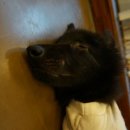 백석역3번출구 이미지