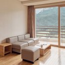 소노캄 델피노C 이미지