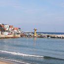 영덕대게거리 이미지