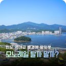 완도읍-10 | 완도타워 모노레일 주차 가격 전망대카페까지