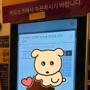 [아테네홀 레스토랑] 포천 허브아일랜드 속 식당 솔직 후기 / 허브돈가스, 허브비빔밥