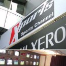 무실스포츠 이미지