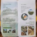 제주낭바띠