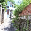 오자네왔는가 365곰탕 이미지