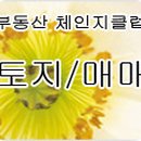 부동산써브 공인중개사사무소 이미지
