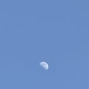 호세야바베큐 이미지