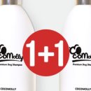 샴푸하는 강아지 이미지