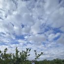 유픽(U-PICK) 이미지