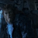 미녀와야수 이미지