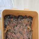 한*희1