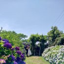 동광리-6 이미지