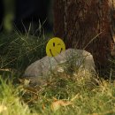 시장북로 이미지