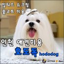 hododog(호도독) 이미지