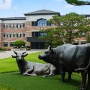 연암대학교 이미지