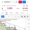 진양제약(주) 이미지