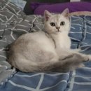 부산뱅갈하우스 이미지