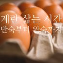 계란 삶는 시간 정리｜반숙·완숙부터 유통기한, 칼로리, 단백질까지