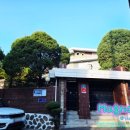 사러가 할인마트 이미지