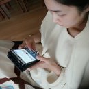 보배네산꼼장어