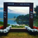 자라섬캠핑장 | 자라섬캠핑장 예약 방법부터 카라반, 사이트A/B까지 한눈에 정리