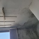 (주)지레이 | 구축아파트 탑층 누수 발생 해결한 후기 1탄 (feat.누수탐지)