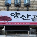 솔비막창