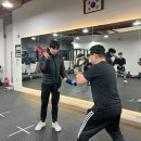 동탄센트럴복싱짐 이미지
