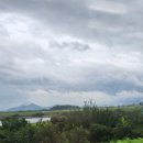 이쁘당개 이미지