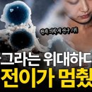 암 전이 방지 1위...비아그라 이미지