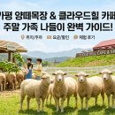 뚝너머목장 | ​서울 근교 아이와 가볼만한 곳, 가평 양떼목장 카페 클라우드힐 수유실 체험 솔직후기