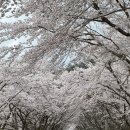 따뜻한 4월•••일상