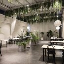 이안목장 | 율량동카페 이안테라스 베이커리 카페. 내돈내산 아메리카노, 블루베리 요거트 생크림 케이크