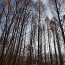 정발산공원 이미지