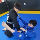 동해주짓수액션리액션 네이버블로그