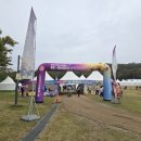 파우더-Dog | K-DOG페스티벌_천안시민공원_방문 후기